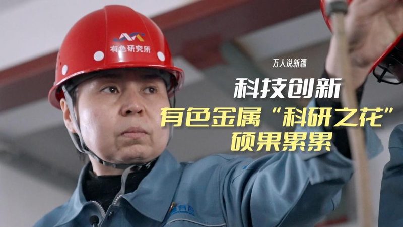 数据中台政府项目：注意事项与实施要点